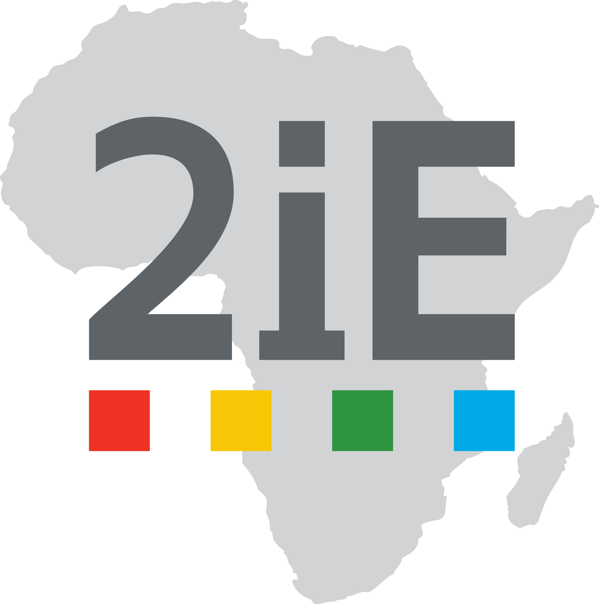 Logo of Institut International de l'Eau et de l'Environnement