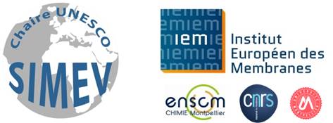 SIMEV IEM logo