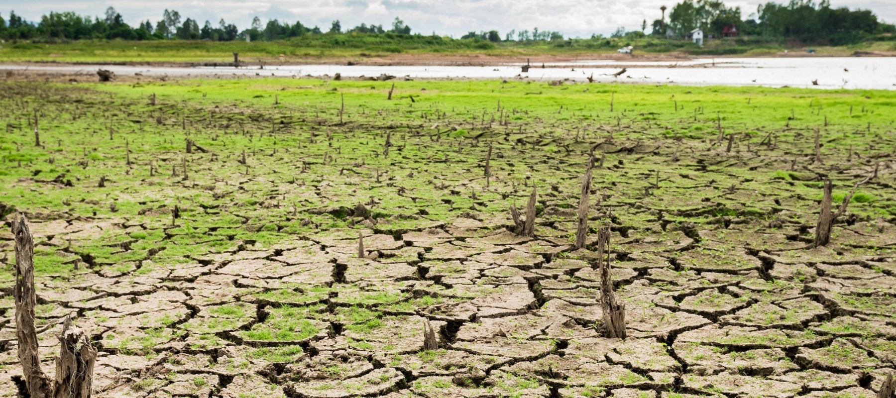 Dry Cracked Land banner