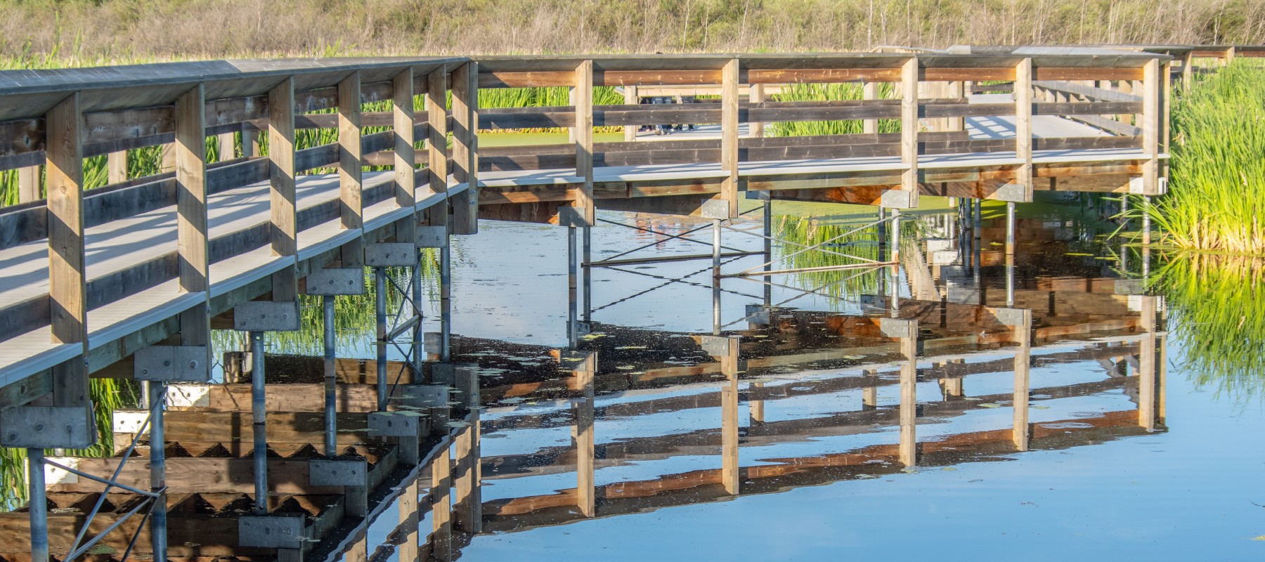 Wetlands boardwalk