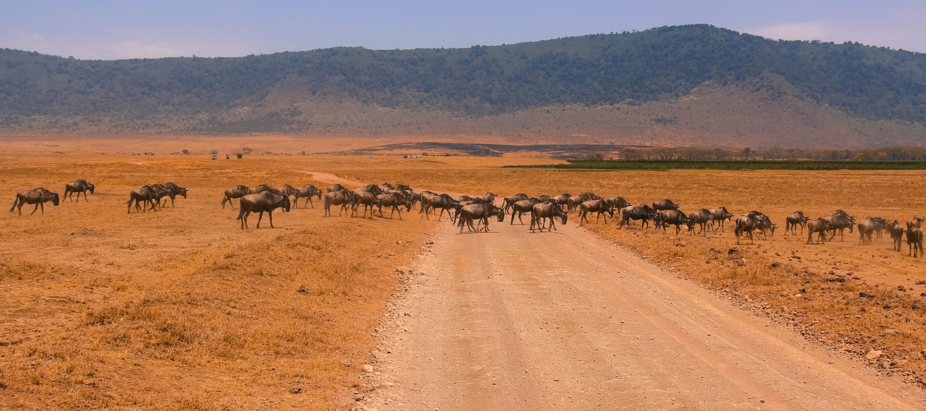 Africa dusty road