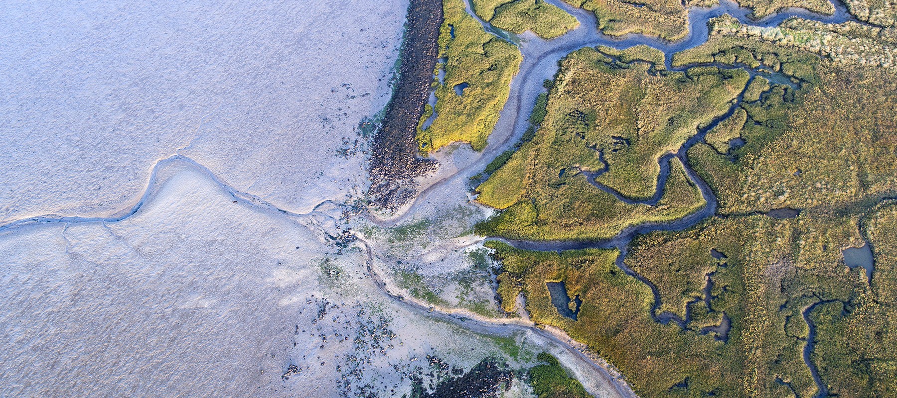 River flowing into a delta