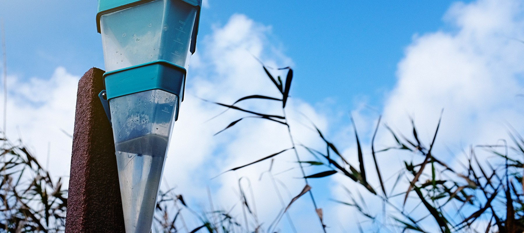 Rainfall measurement device in a field