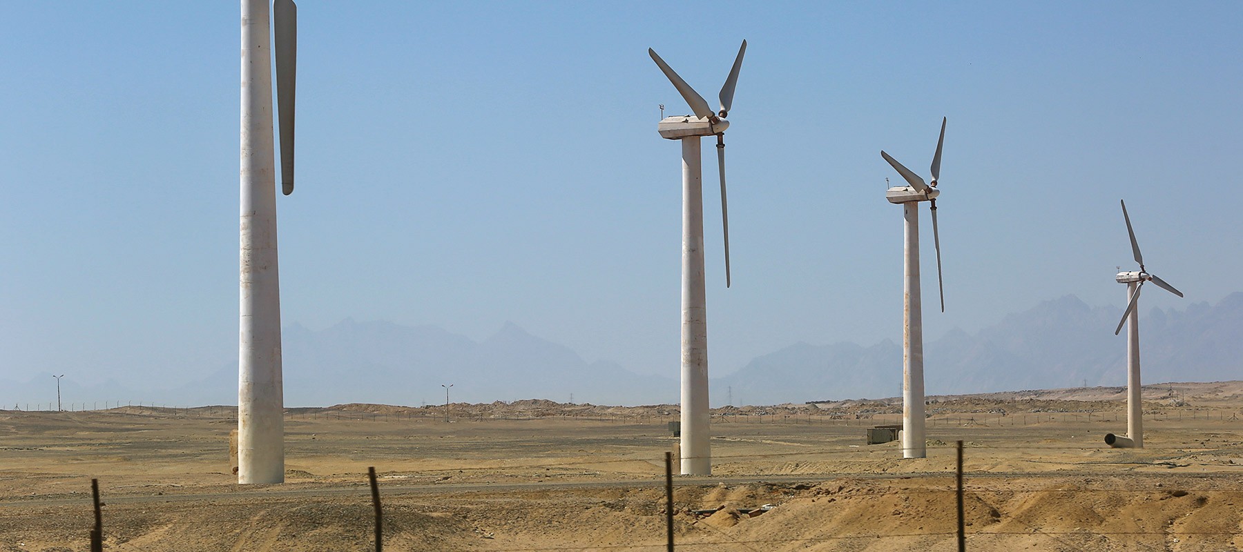 Wind turbines in a field