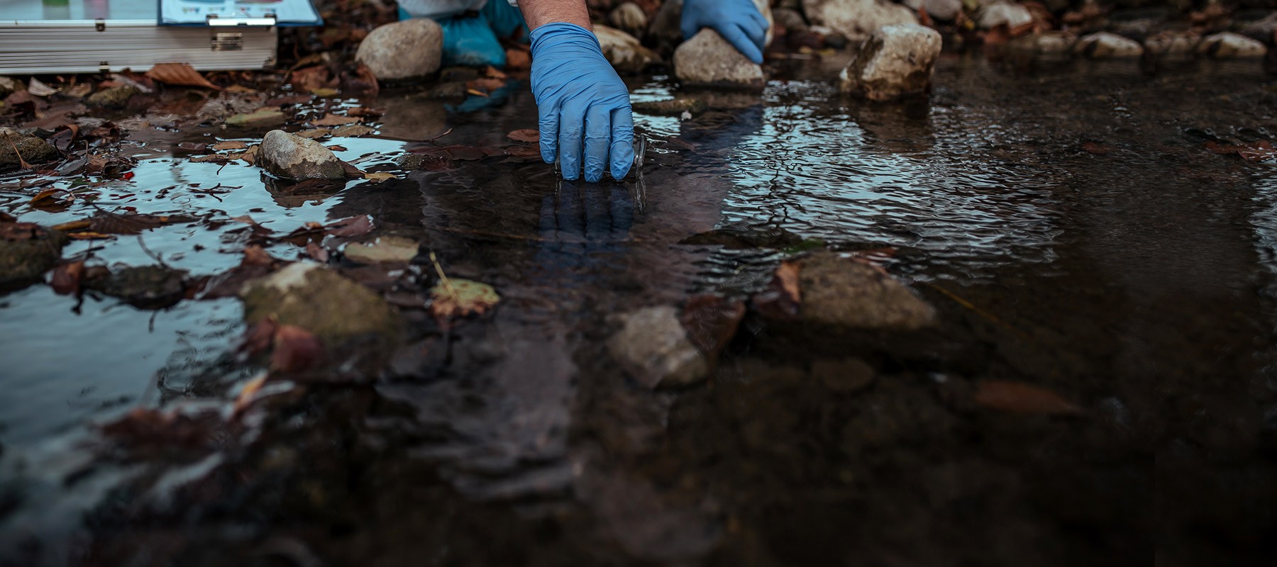 Water quality testing in a river bed