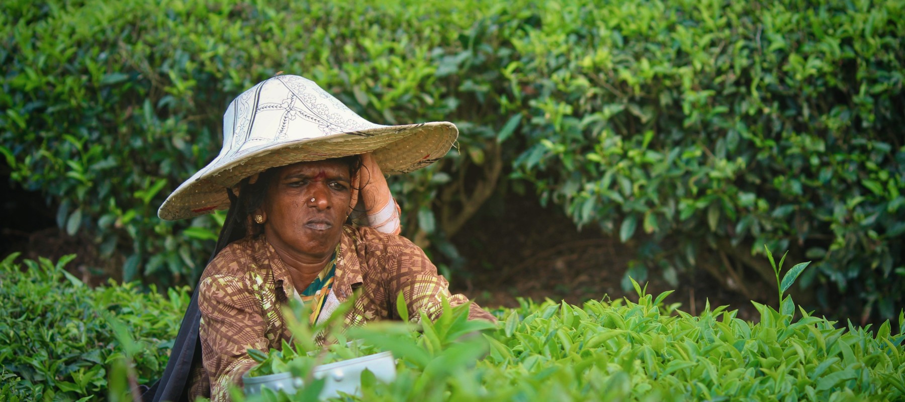 Webinar: Enabling Voices, Demanding Rights: A guide to gender-sensitive community engagement in large scale land-based investment