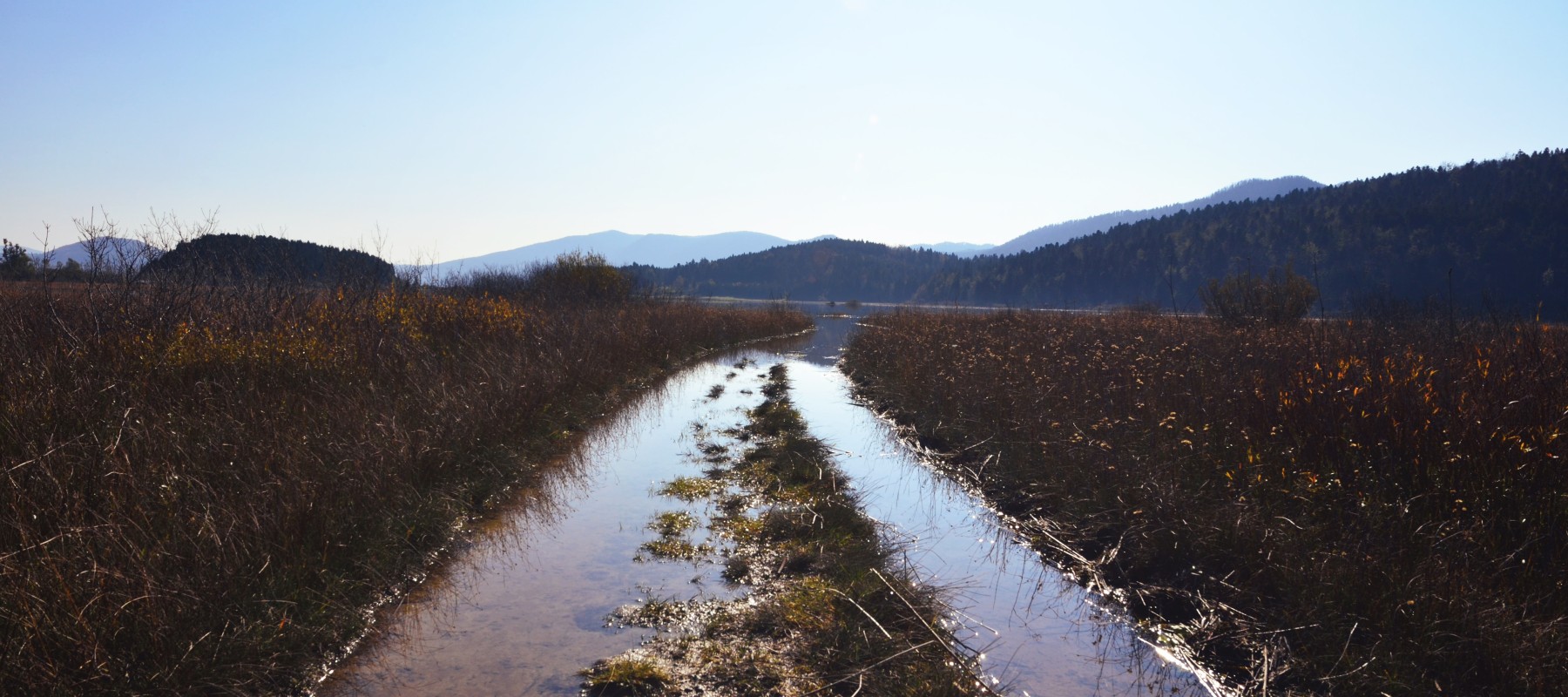 Webinar: Peatland mapping and monitoring