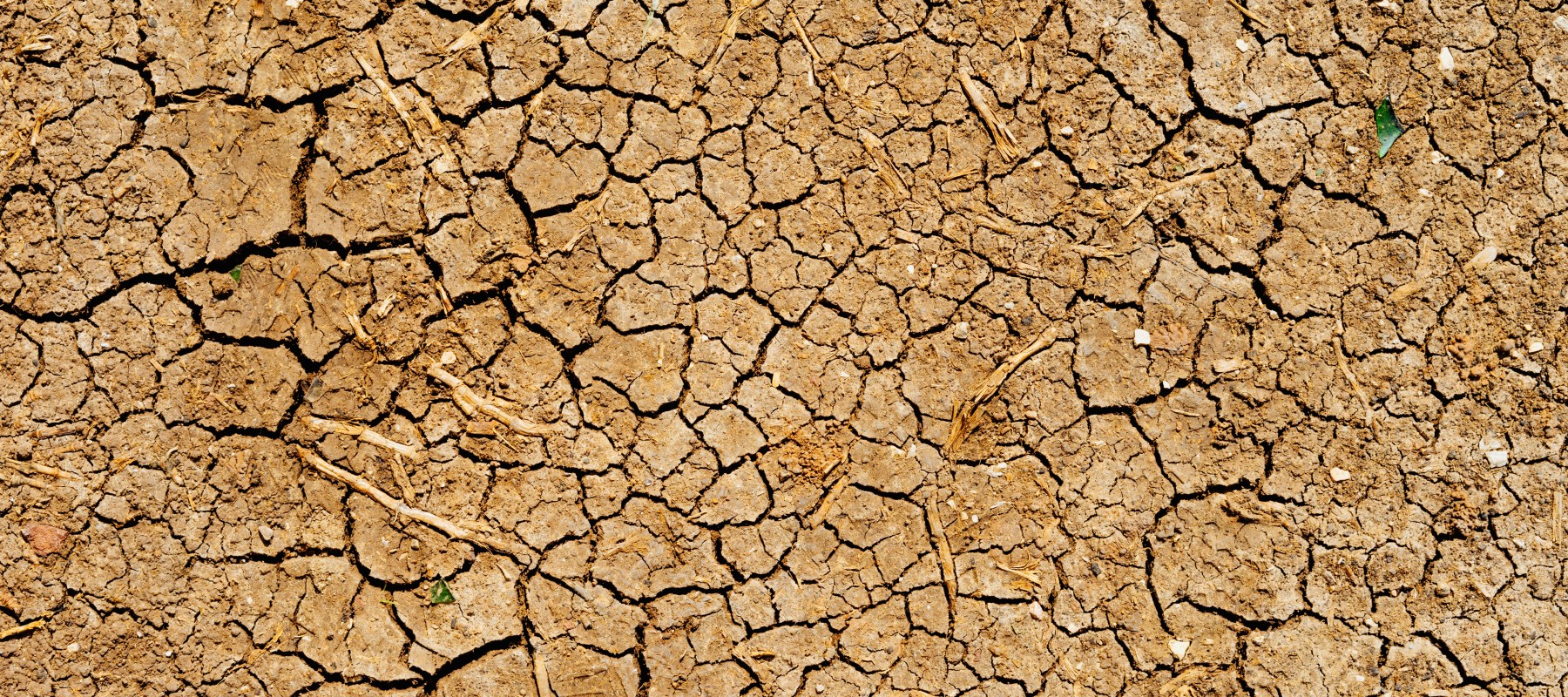 The climate crisis is a water crisis