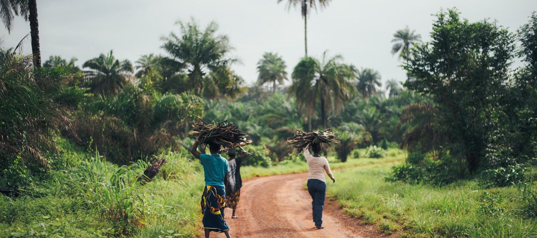 Webinar: Progress made in advancing gender-responsive NAP processes