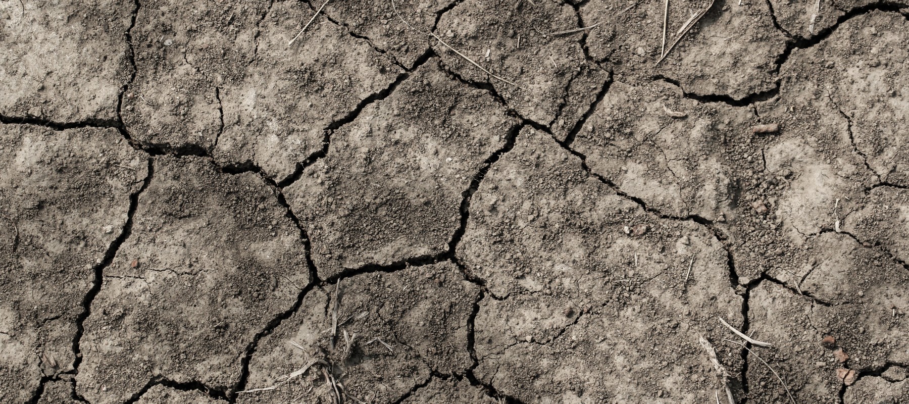 International Women’s Day Feature Hones in on Drought Early Warning Systems