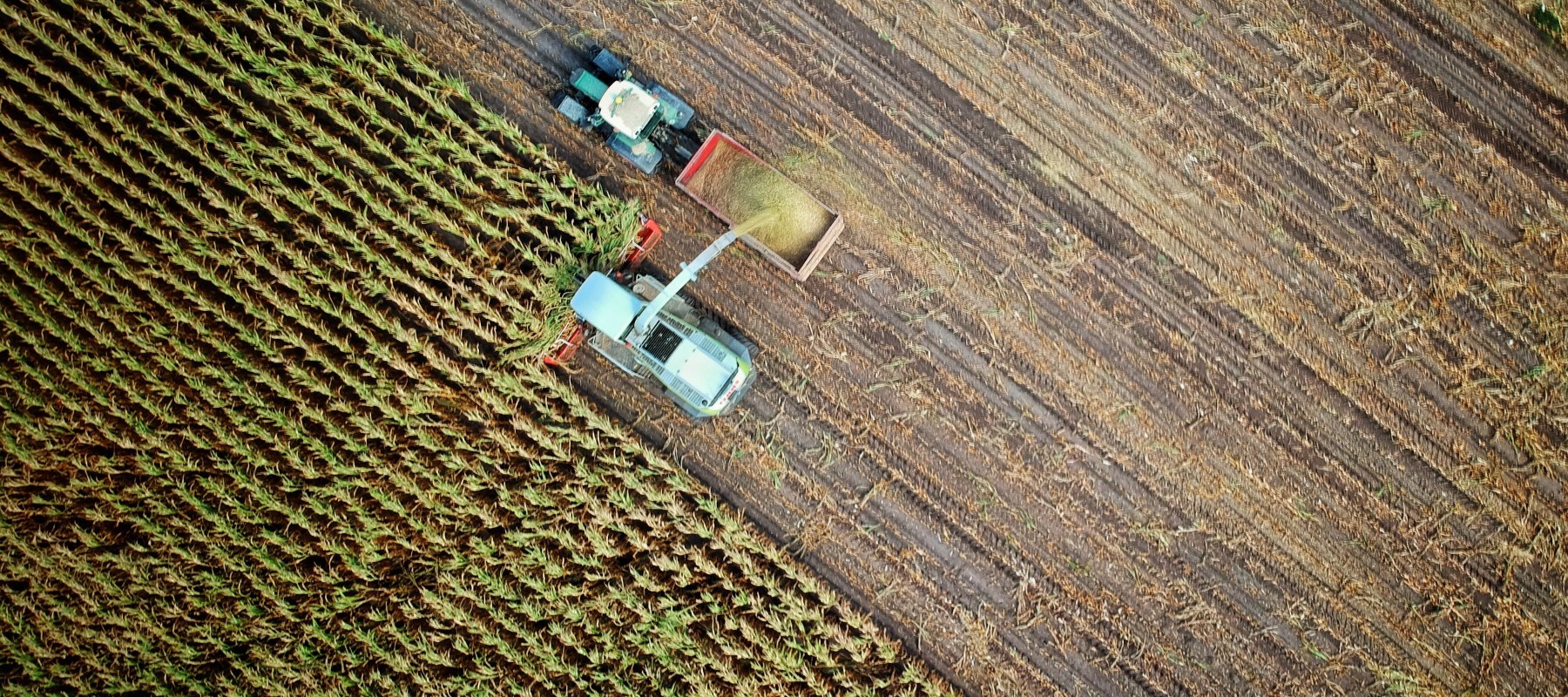 Short Survey: use of evidence in decision-making for more sustainable agriculture and natural resource management