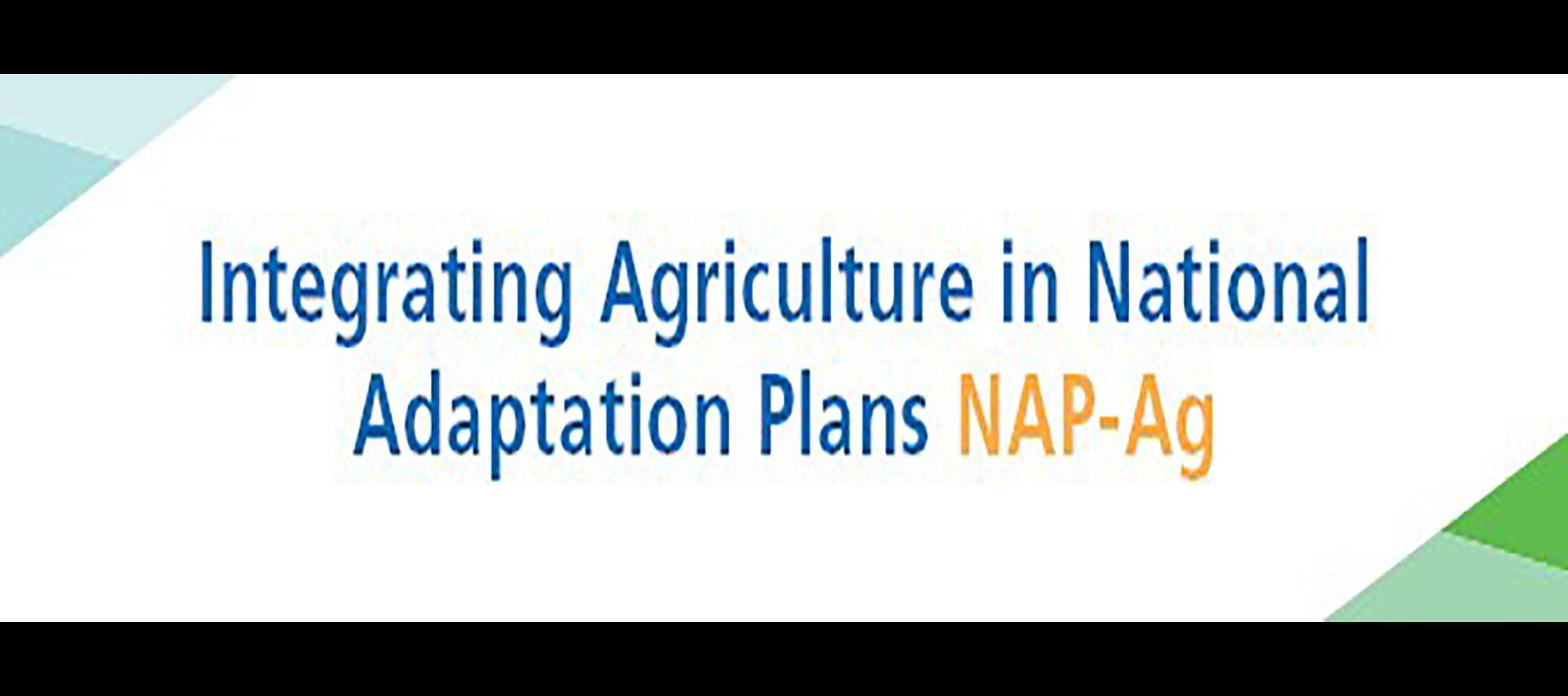 FAO NAP Brief