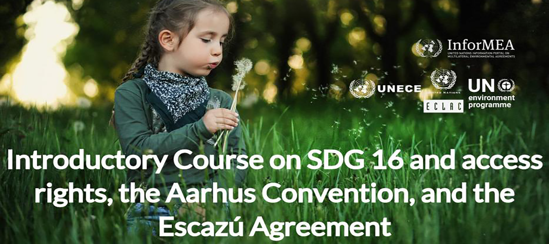 SDG16 Course