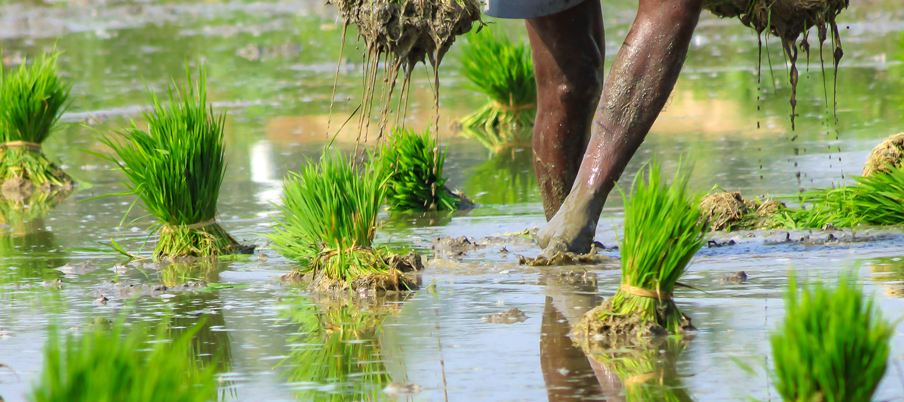 Water as an Economic Driver