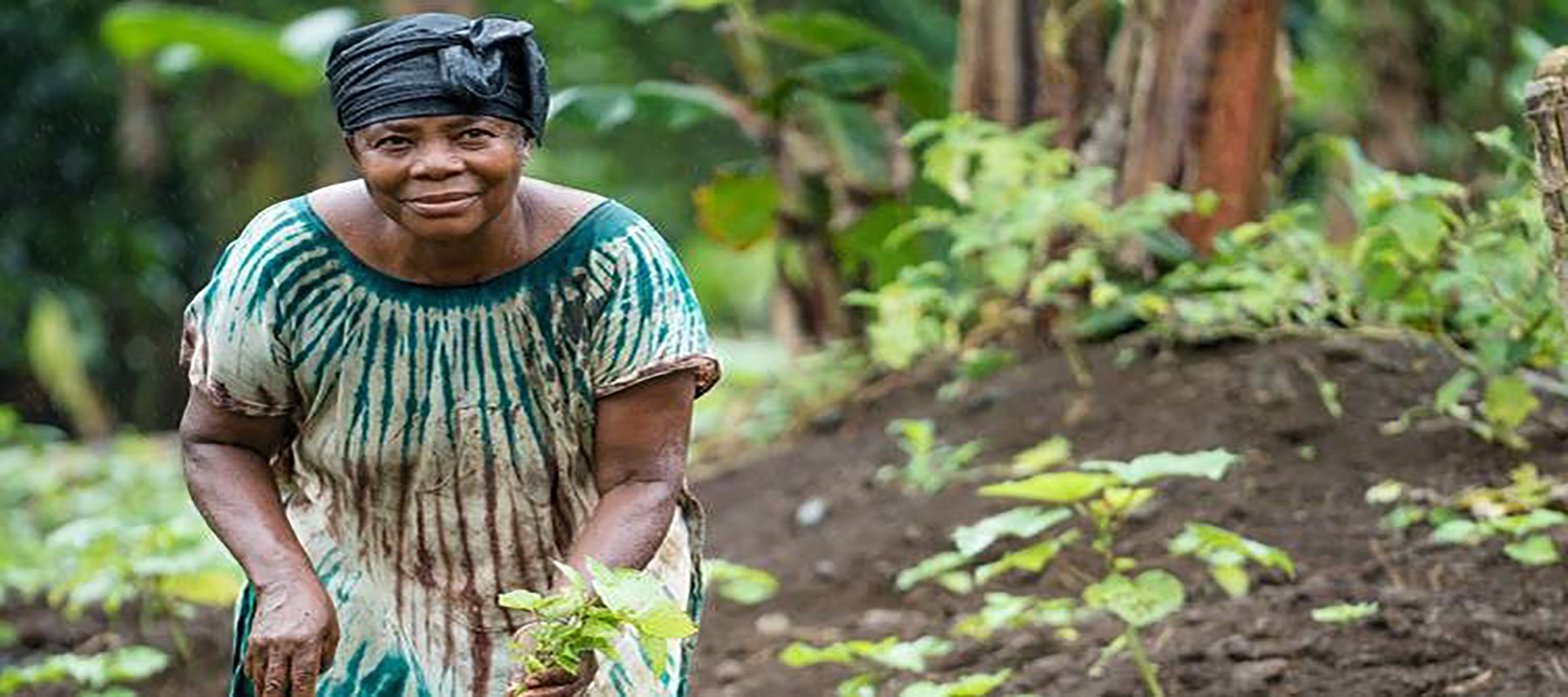 COFO25/7WFW side event: Food systems transformation, land use and deforestation