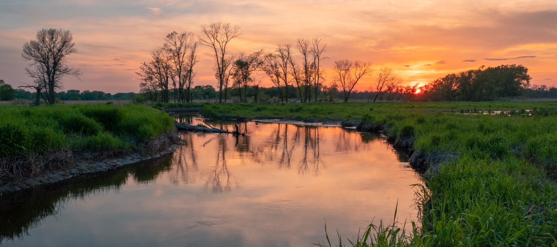 Call for MSc Applications: International Joint Degree MSc Programme in Limnology & Wetland Management (LWM)