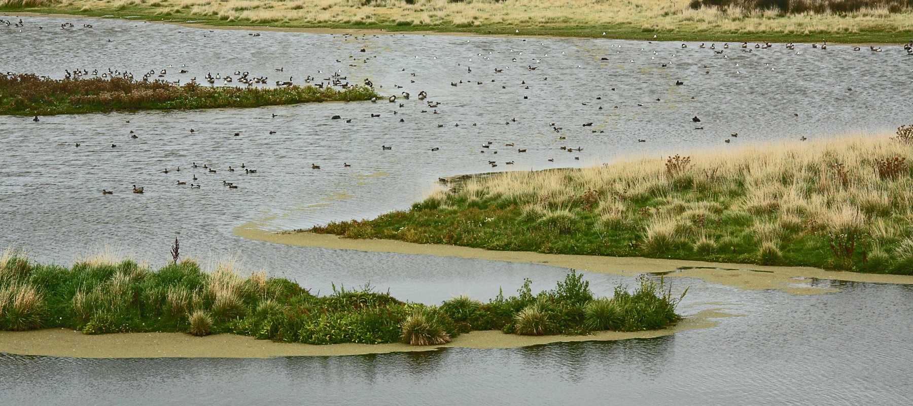 9th International Symposium on Wetland Pollutant Dynamics and Control