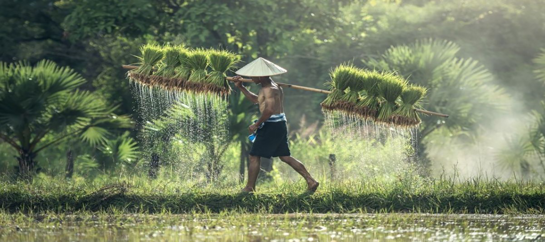 Webinar: Enhancing Water Governance Capacity For The Implementation Of SDG 6