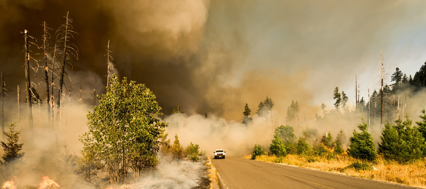 Webinar: Utility Climate Action - Heat and Wildfire