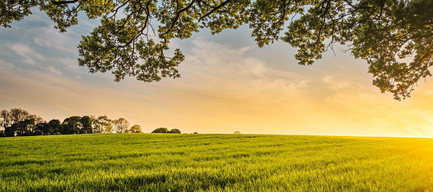 Digital Climate Services for Agriculture