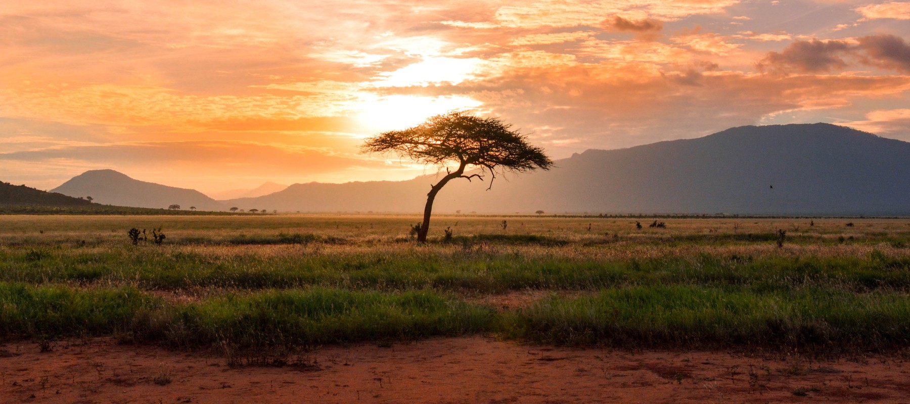 EU-Africa Summit: A preview of the role of Science