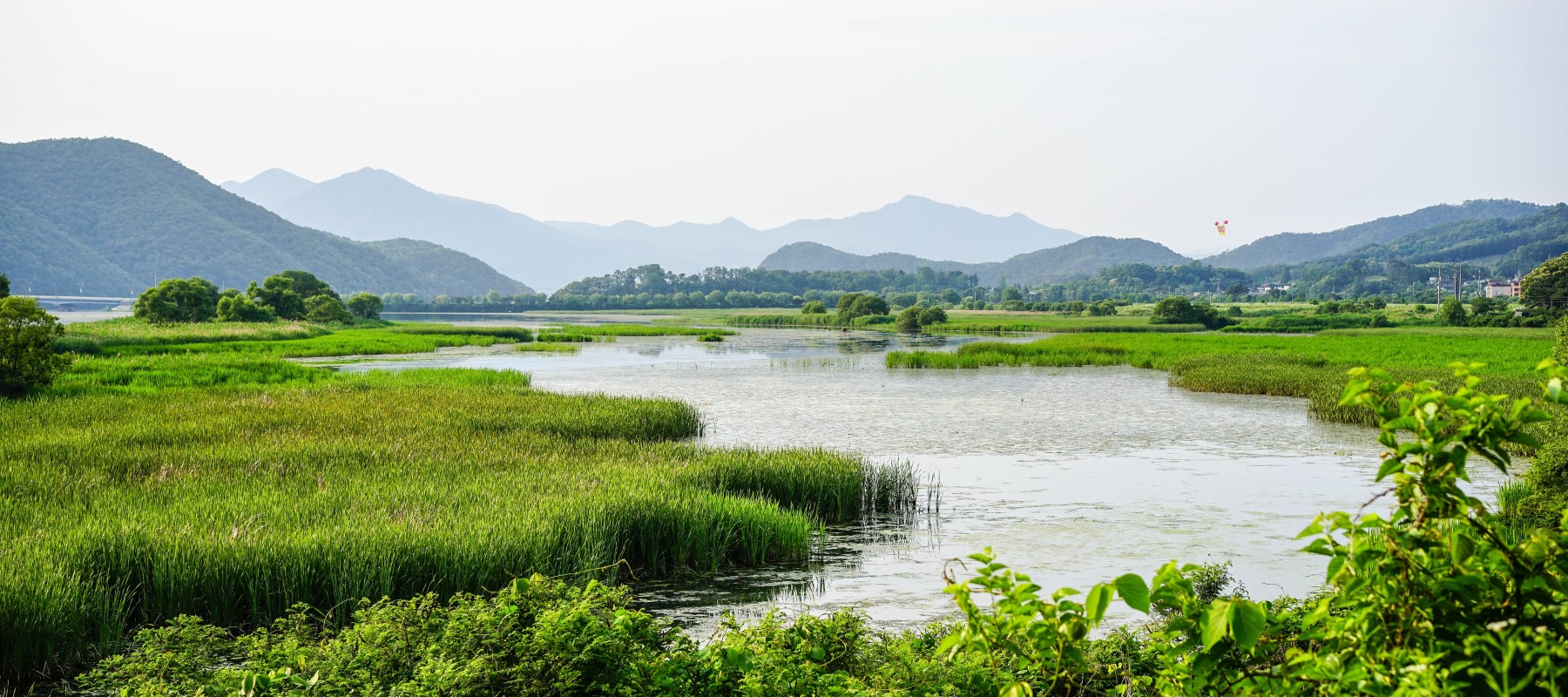 17th International Conference on Wetland Systems for Water Pollution Control