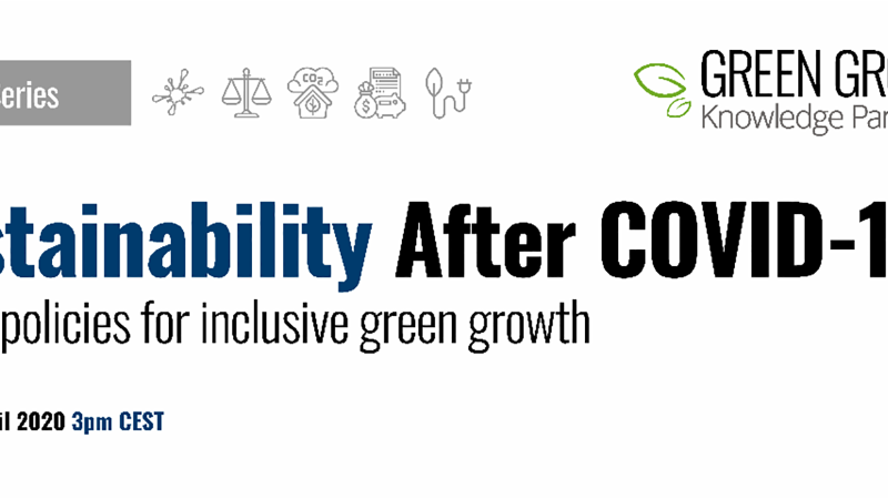 Sustainability After COVID-19: Public Policies for Inclusive Green Growth