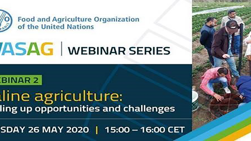 Webinar: Saline Agriculture: Scaling Up Opportunities and Challenges