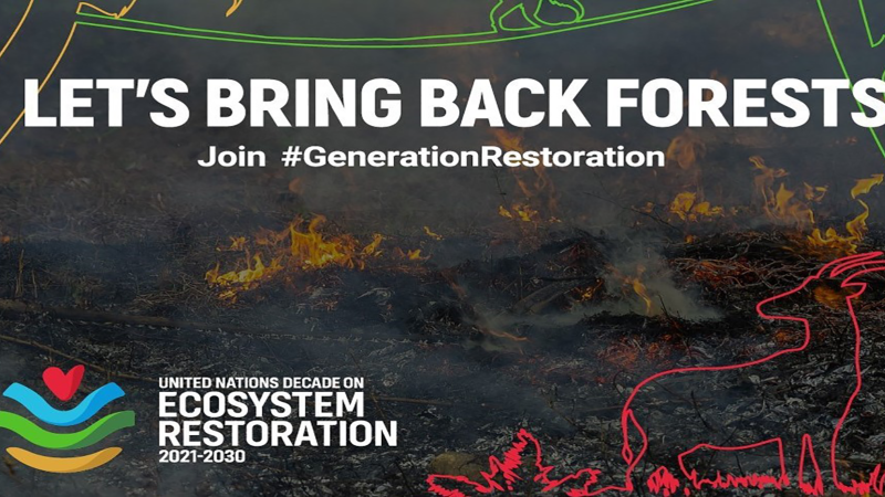 Catalyzing a science-based restoration movement in the context of the UN Decade on Ecosystem Restoration: monitoring and action on the ground