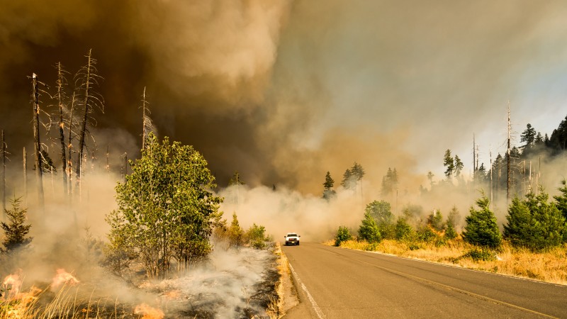 Webinar: Utility Climate Action - Heat and Wildfire