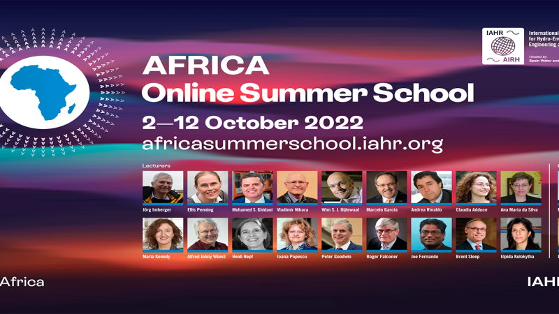 Africa Online Summer School
