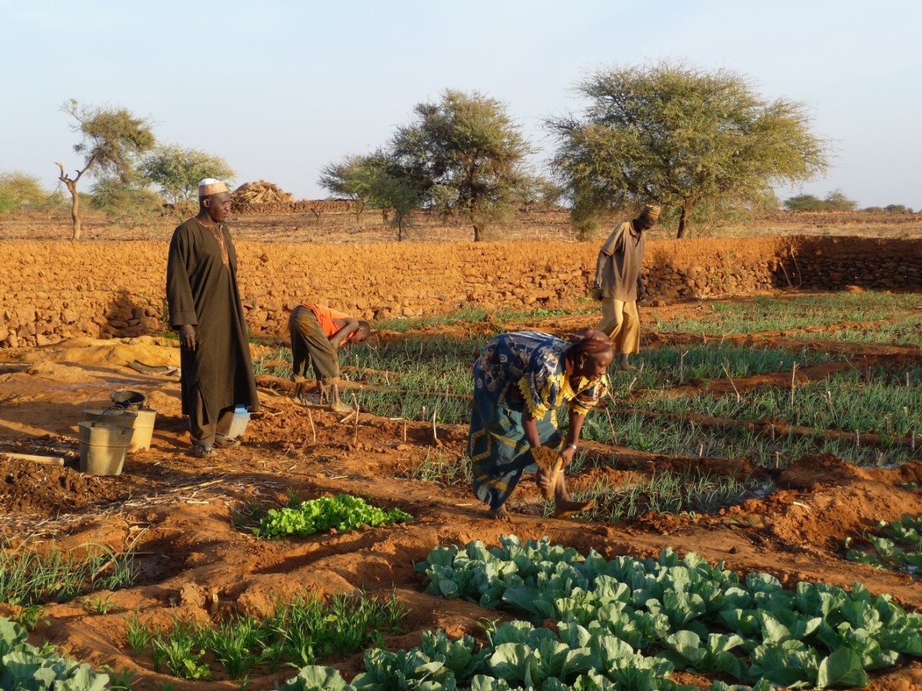 farmers in Niger