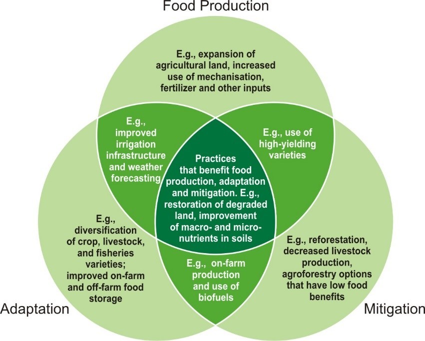 climate smart agriculture figure