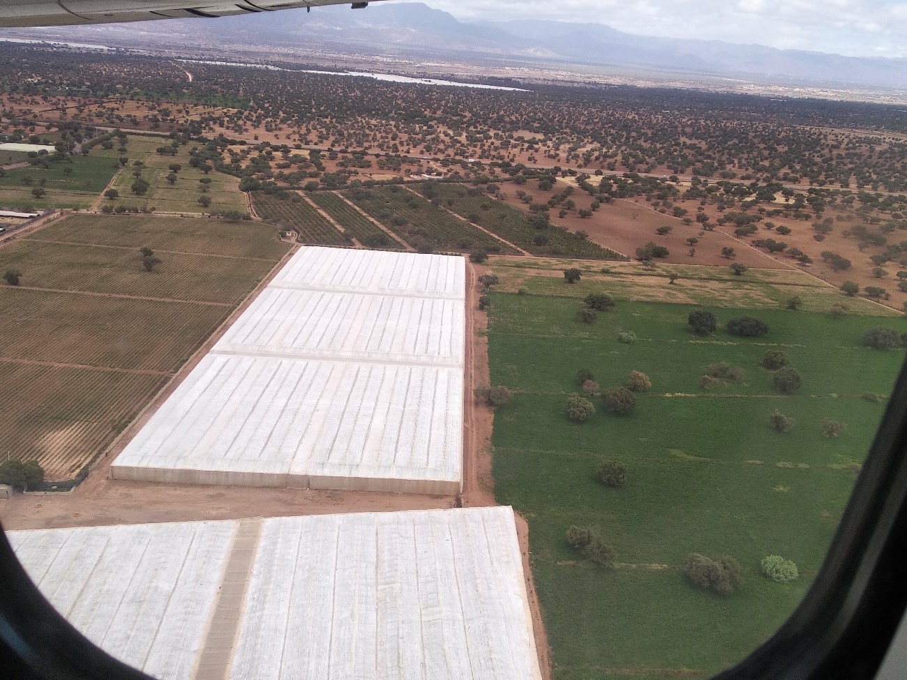 Figure 2. Intensive agriculture in valleys of the Réserve de Biosphere de l’Arganeraie.  Photo credit: Mari Carmen Romera Puig